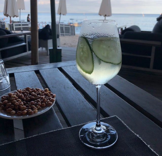 Byrdhouse Gin and Tonic Cocktail